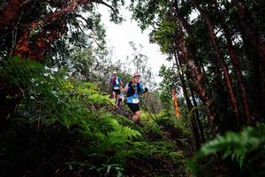 BIB: 
                            <button type="button" onclick="openModal(26201104)" class="btn btn-primary btn-sm float-right btn-popup" data-toggle="modal" data-target=".modal-high-quality">
                        <i class="fas fa-shopping-cart"></i> Add to Cart
                    </button>
                                            <button type="button" onclick="isThisMe(26201104, true)" class="btn btn-success btn-sm float-right btn-popup btn-isme hidden" data-toggle="tooltip" data-placement="bottom" title="นี่คือรูปของคุณใช่ไหม คลิกที่นี่เพื่อเอาเข้าอัลบั้ม">
                        <i class="fas fa-plus"></i> Add to album
                    </button>
                    <button type="button" onclick="isThisMe(26201104, false)" class="btn btn-warning btn-sm float-right btn-popup btn-isnotme hidden">
                        <i class="fas fa-ban"></i> Remove from album
                    </button>